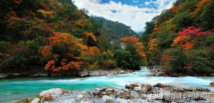 四川一个中国含“猫”量极高的县城，拿出80%的土地给熊猫安家，第一只国礼大熊猫就从这里走出