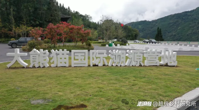 四川一个中国含“猫”量极高的县城，拿出80%的土地给熊猫安家，第一只国礼大熊猫就从这里走出