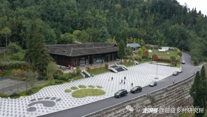 四川一个中国含“猫”量极高的县城，拿出80%的土地给熊猫安家，第一只国礼大熊猫就从这里走出