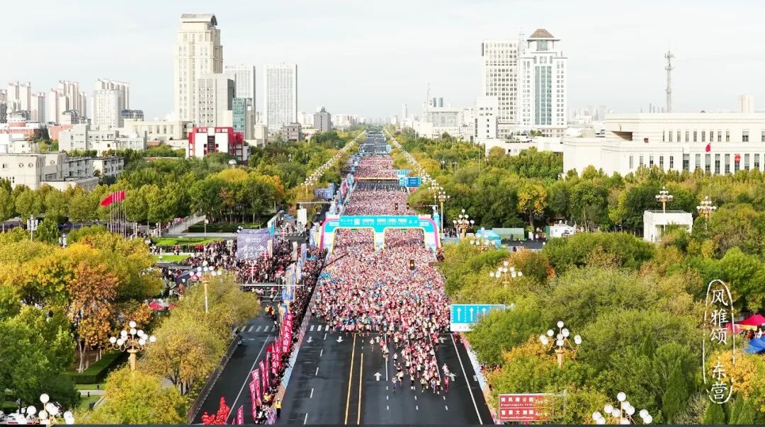 奔跑在东营，迎着黄河入海口的长风！