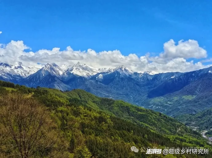 四川一个中国含“猫”量极高的县城，拿出80%的土地给熊猫安家，第一只国礼大熊猫就从这里走出