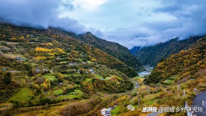 四川一个中国含“猫”量极高的县城，拿出80%的土地给熊猫安家，第一只国礼大熊猫就从这里走出