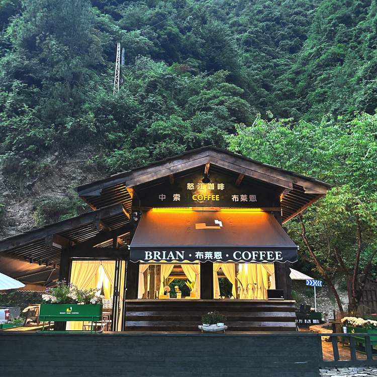 峡谷古法咖啡圈粉上海,贡山首次组团亮相陆家嘴国际咖啡文化季