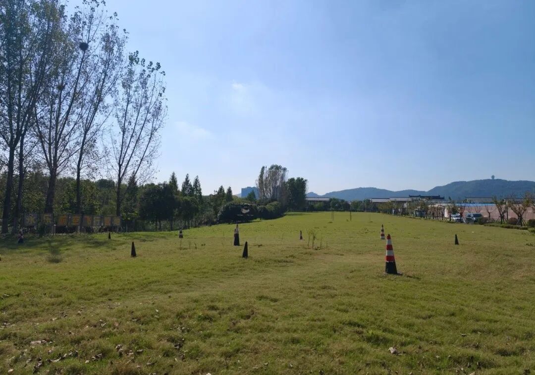 无人机巡航、学飞考证、青少年基地，溧水低空经济“三箭齐发”
