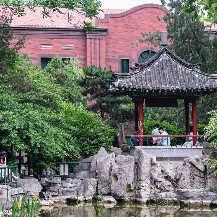 漫步济南“猫王街”！在经纬老巷解锁一场治愈citywalk