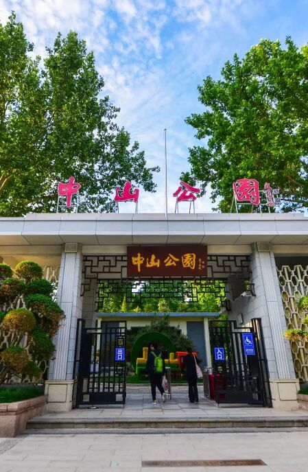 漫步济南“猫王街”！在经纬老巷解锁一场治愈citywalk