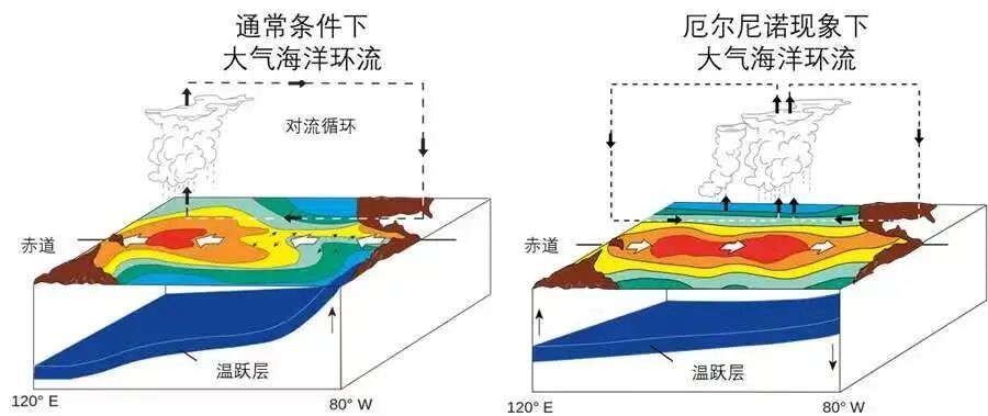 超强厄尔尼诺来了，今年冬天会更冷还是更暖？