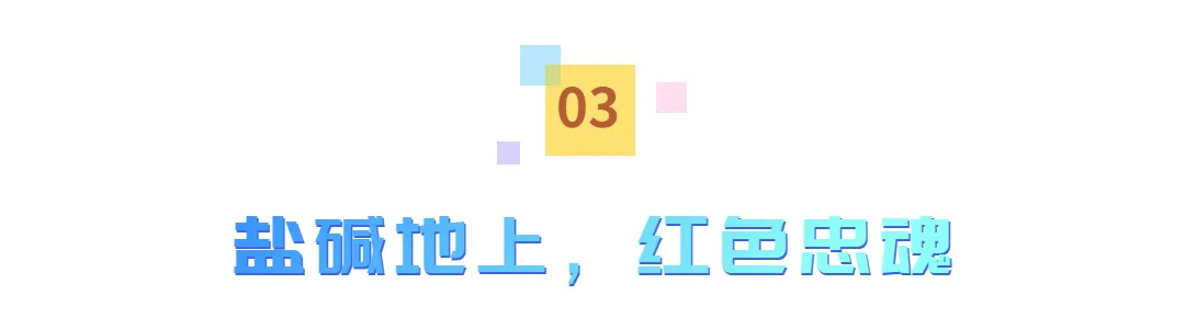 一村一脉,读懂滨海|固堤场村:因盐设场,煮海千年