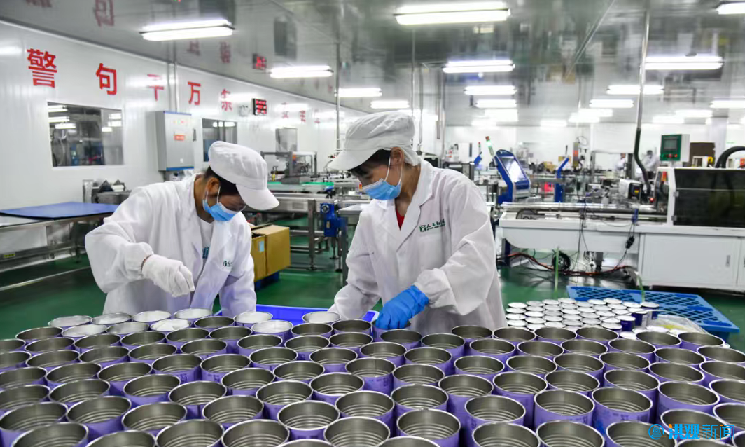 南昌实体经济“实”在哪丨跻身千亿！南昌食品医药产业跑出数智转型“加速度”