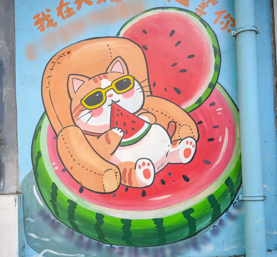 漫步济南“猫王街”！在经纬老巷解锁一场治愈citywalk