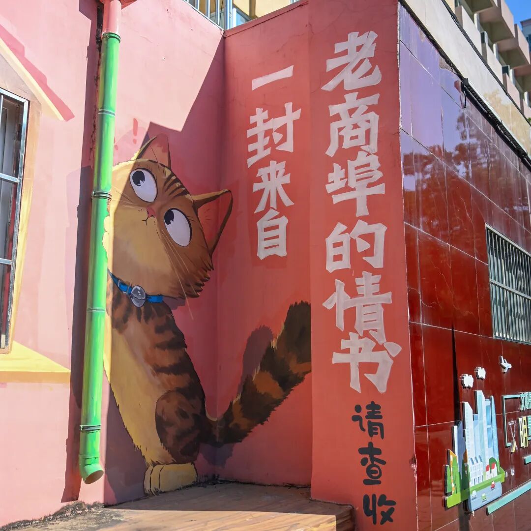 漫步济南“猫王街”!在经纬老巷解锁一场治愈citywalk