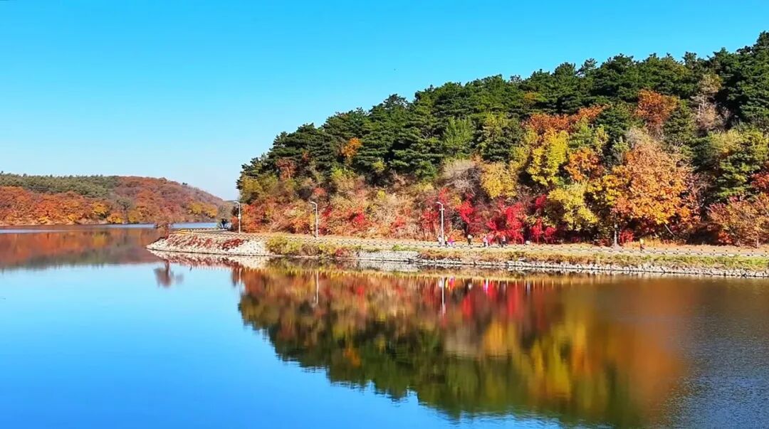 长春，“45° 青年”的“理想型”