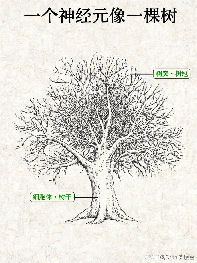 同一个铃声,在公司先静音、在家里直接接——你的大脑里藏着台微型计算机?