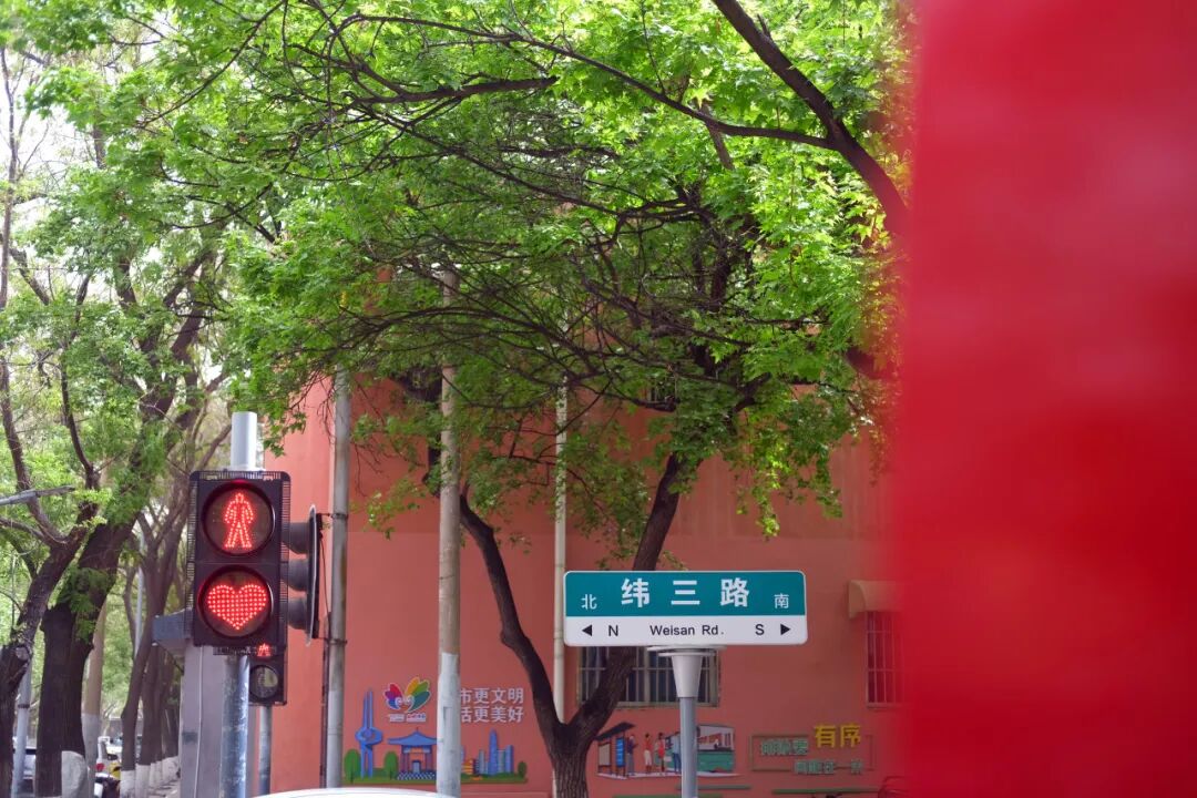 漫步济南“猫王街”！在经纬老巷解锁一场治愈citywalk