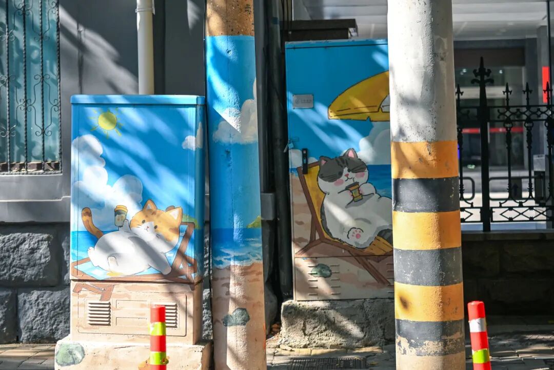 漫步济南“猫王街”！在经纬老巷解锁一场治愈citywalk