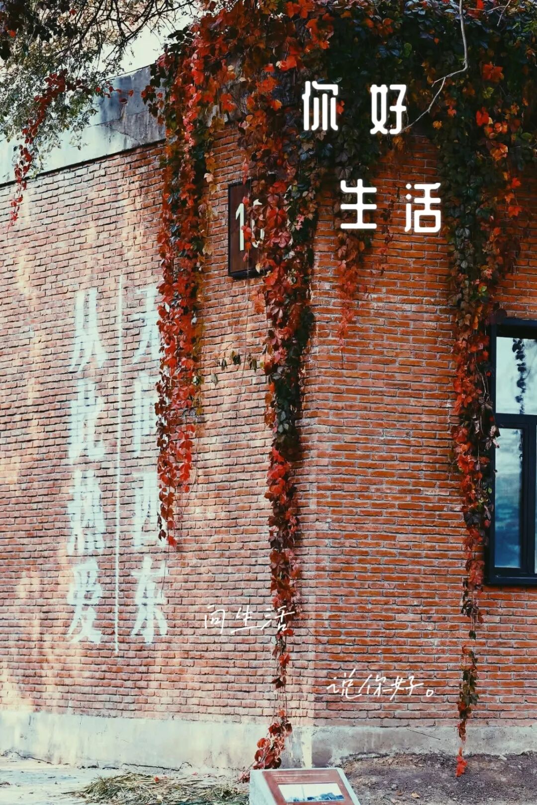 长春,“45° 青年”的“理想型”