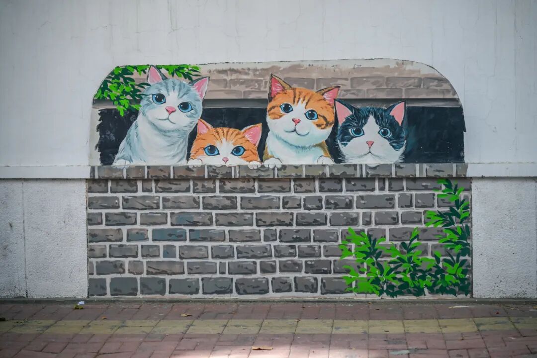 漫步济南“猫王街”！在经纬老巷解锁一场治愈citywalk