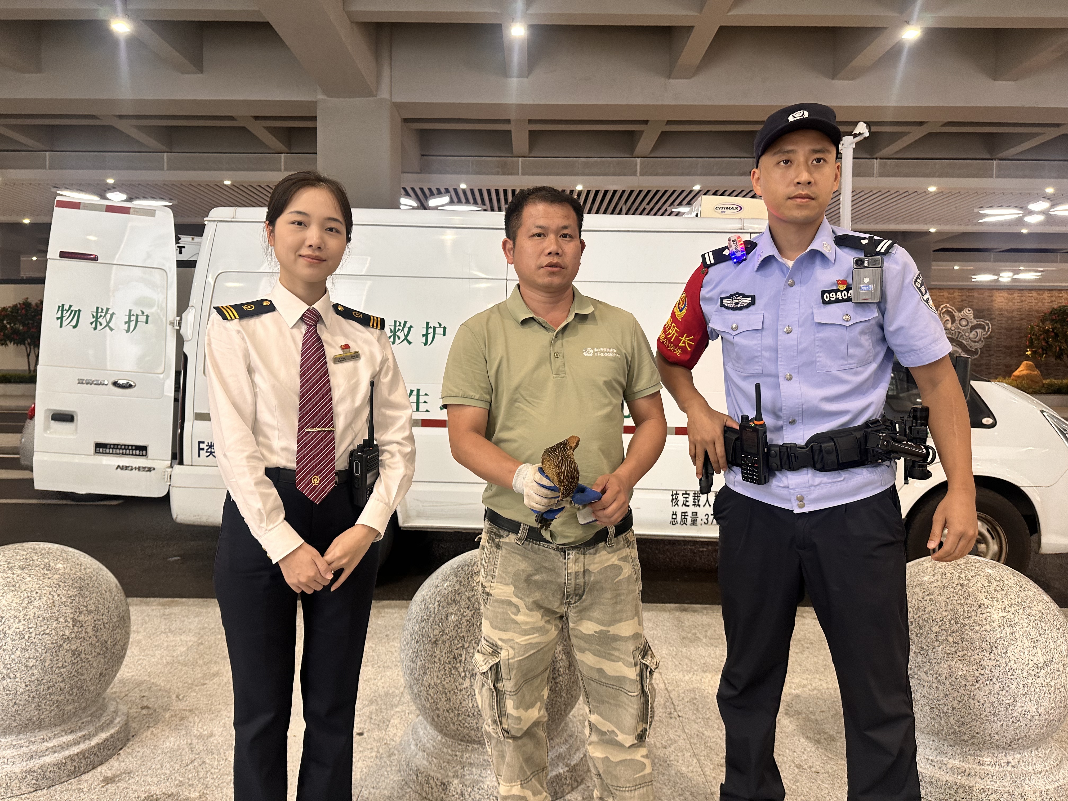 站台“邂逅”二级保护动物 佛山铁警联动暖心施救守护