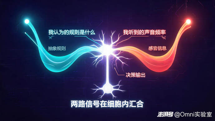 同一个铃声，在公司先静音、在家里直接接——你的大脑里藏着台微型计算机？