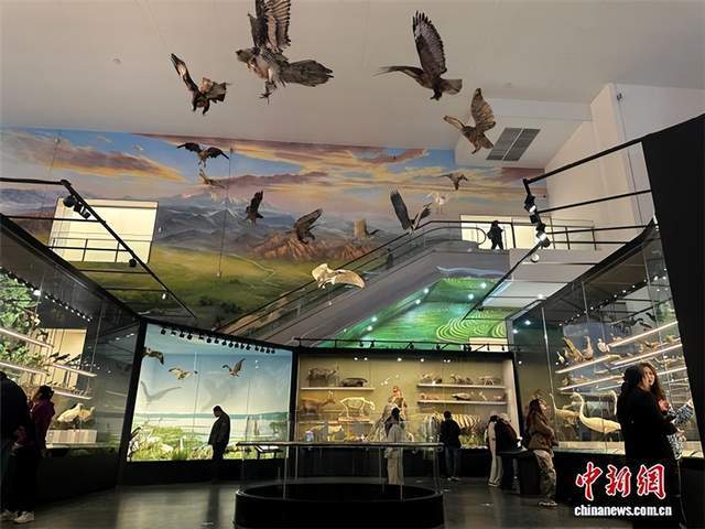 甘肃千余件丝路珍品文物获展示“新天地”