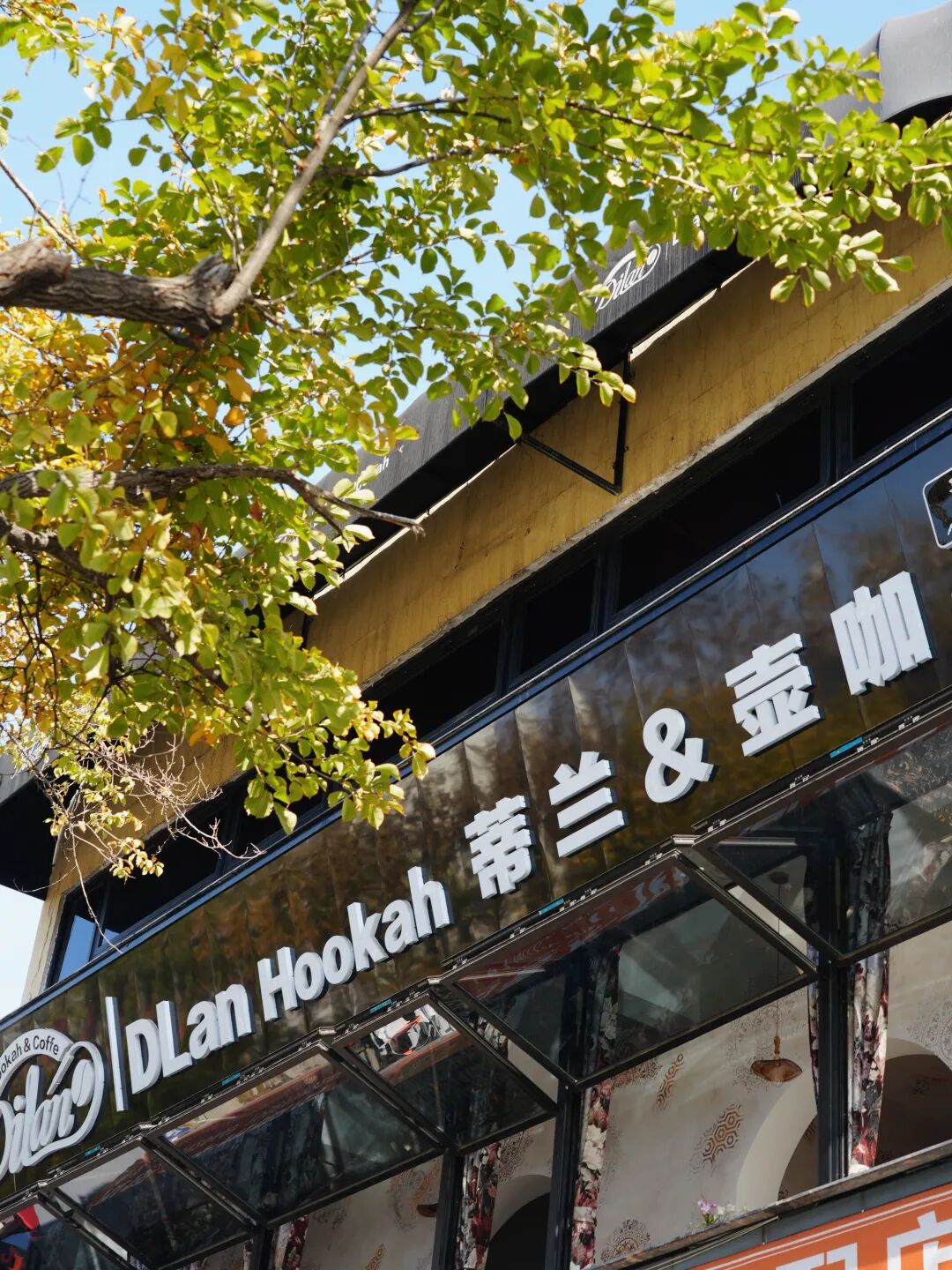 窗外是红叶，院里是鸽子，露台晒着太阳……在乌鲁木齐这5家店，坐着赏秋