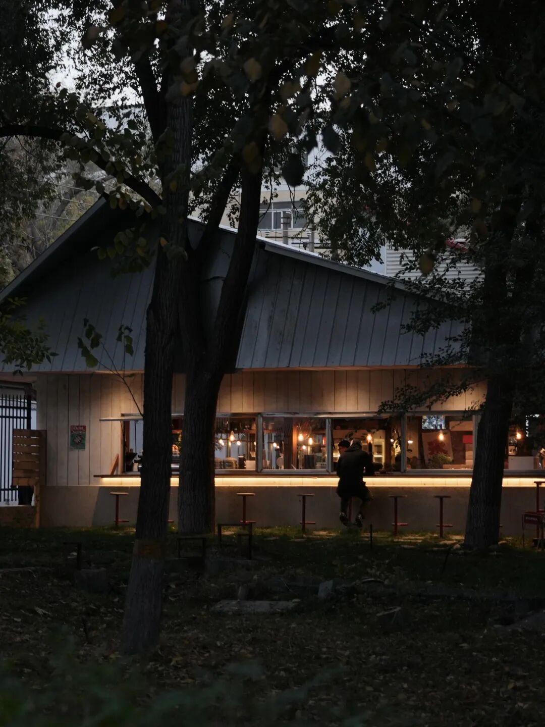 窗外是红叶，院里是鸽子，露台晒着太阳……在乌鲁木齐这5家店，坐着赏秋