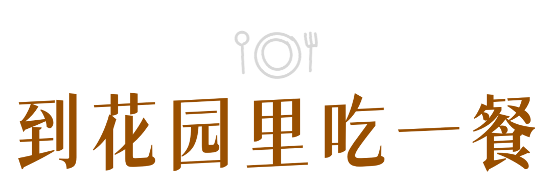 窗外是红叶，院里是鸽子，露台晒着太阳……在乌鲁木齐这5家店，坐着赏秋