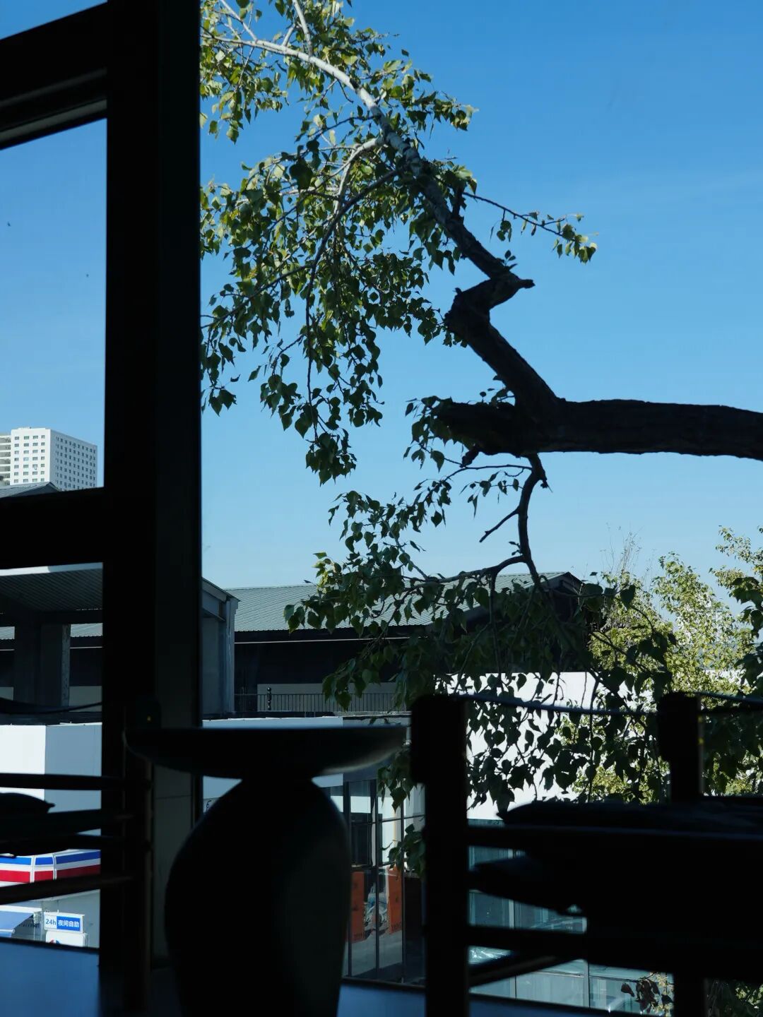 窗外是红叶，院里是鸽子，露台晒着太阳……在乌鲁木齐这5家店，坐着赏秋