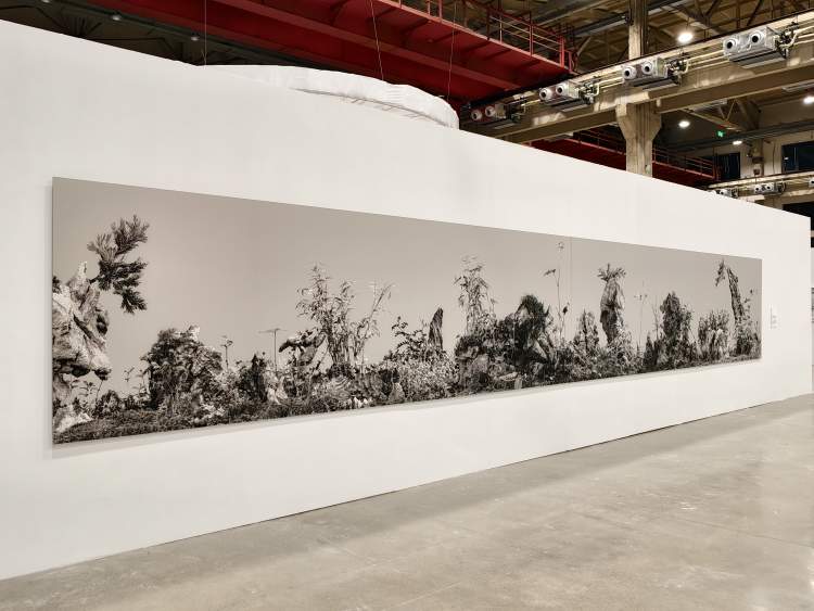 第18届上海国际摄影艺术展首次上岛办展,看看中外名家带来哪些精彩作品