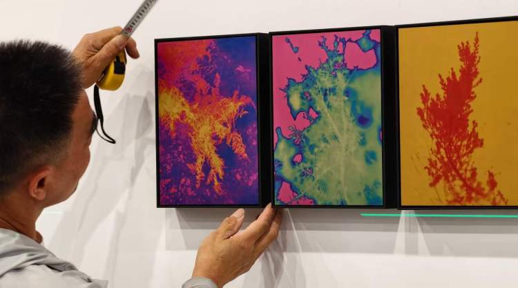 第18届上海国际摄影艺术展首次上岛办展,看看中外名家带来哪些精彩作品