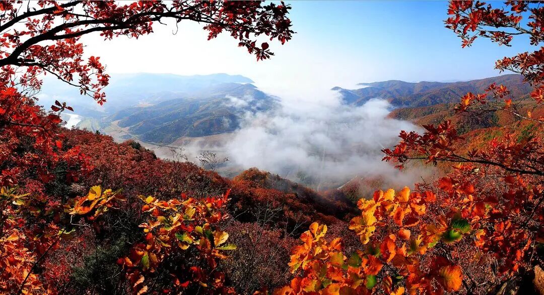 风染五花山，延边正好