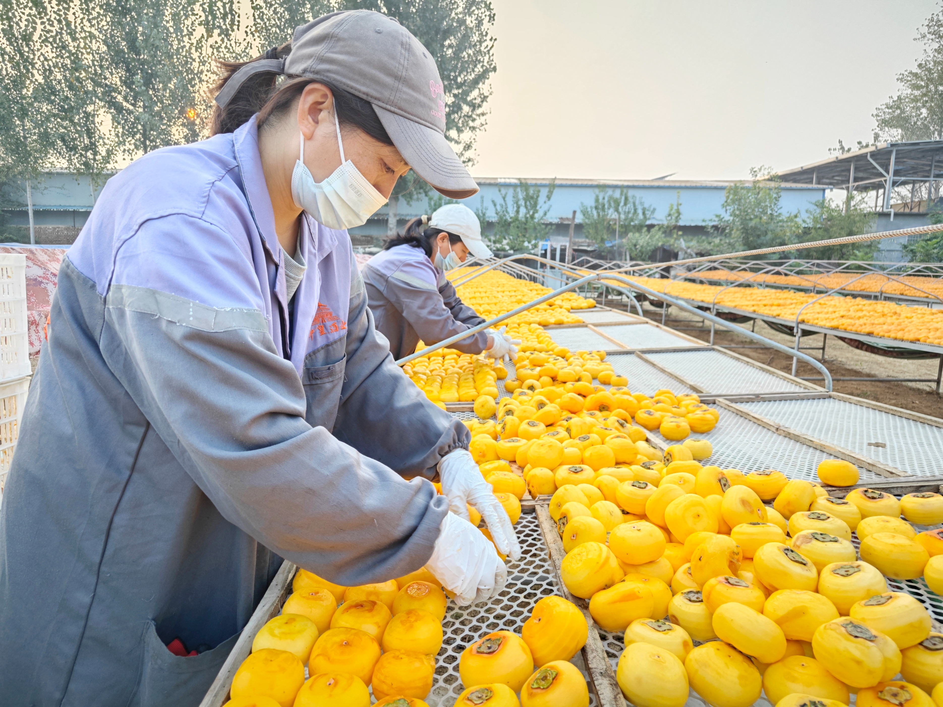 从明清贡品到城市新坐标，“曹州耿饼”焕发新生机