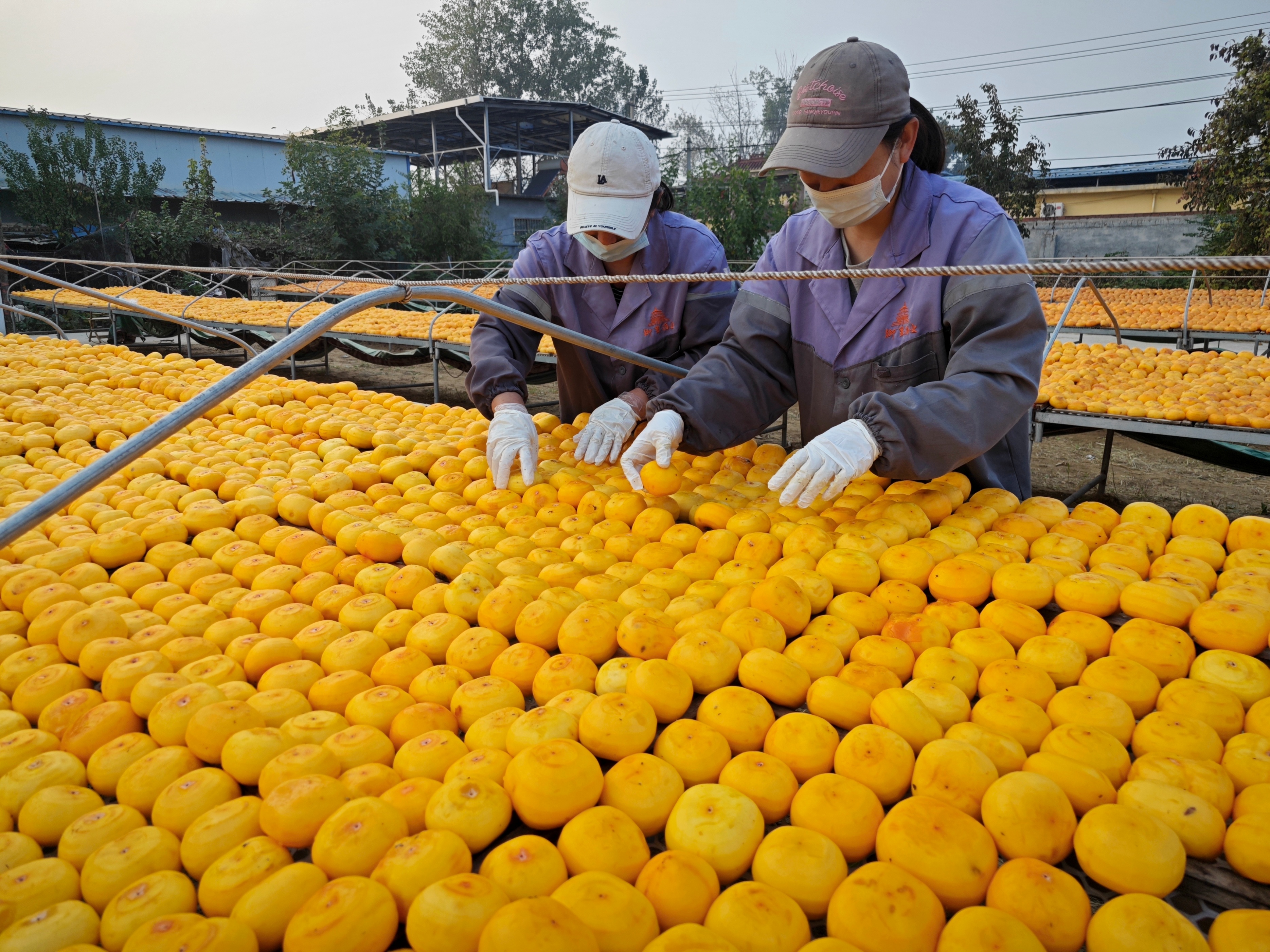 从明清贡品到城市新坐标,“曹州耿饼”焕发新生机