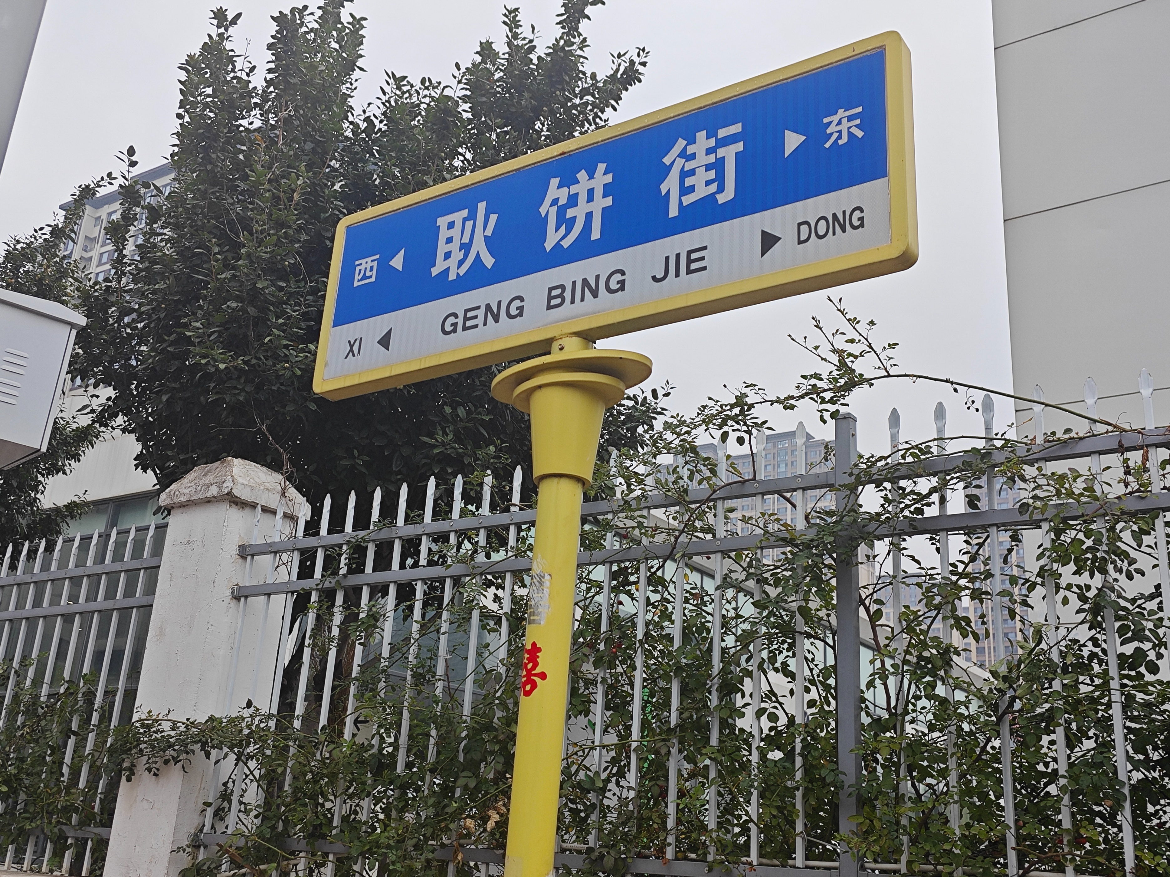 从明清贡品到城市新坐标,“曹州耿饼”焕发新生机