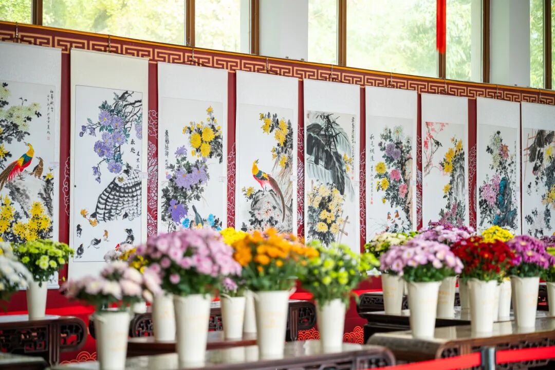 千盆名菊邂逅书画雅韵 南京玄武湖菊花会启幕
