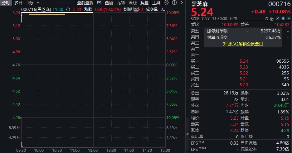 6秒涨停!黑芝麻三季度净利增长近40倍