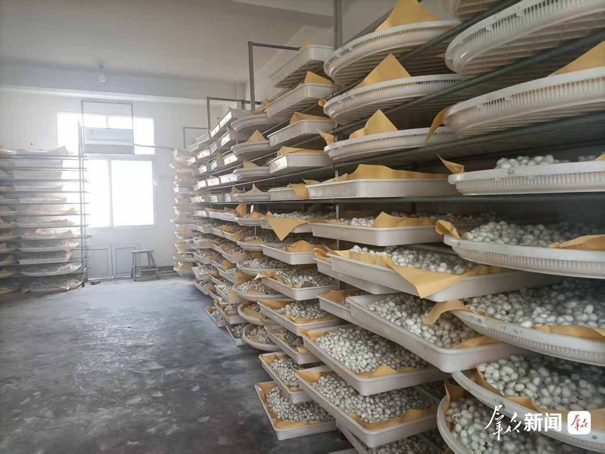 陕西新增一个上合组织农业技术交流培训示范实训基地