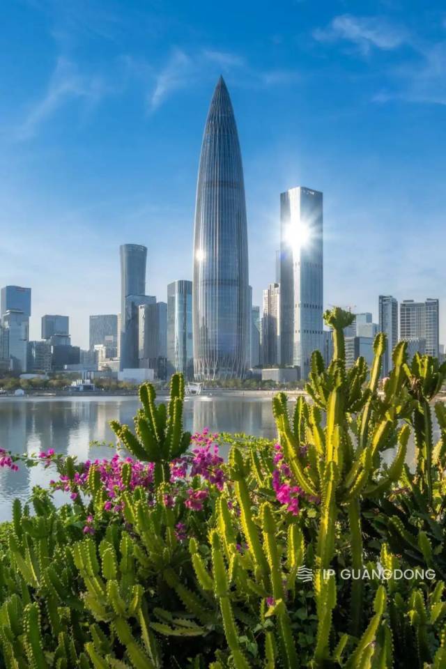 这对父子用“AI”创作歌曲,向世界道一声Welcome to Shenzhen