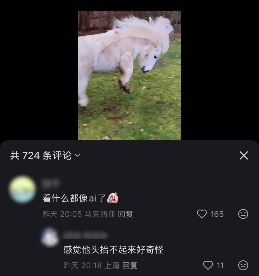 刷到一个又一个假视频后,我不敢相信互联网了