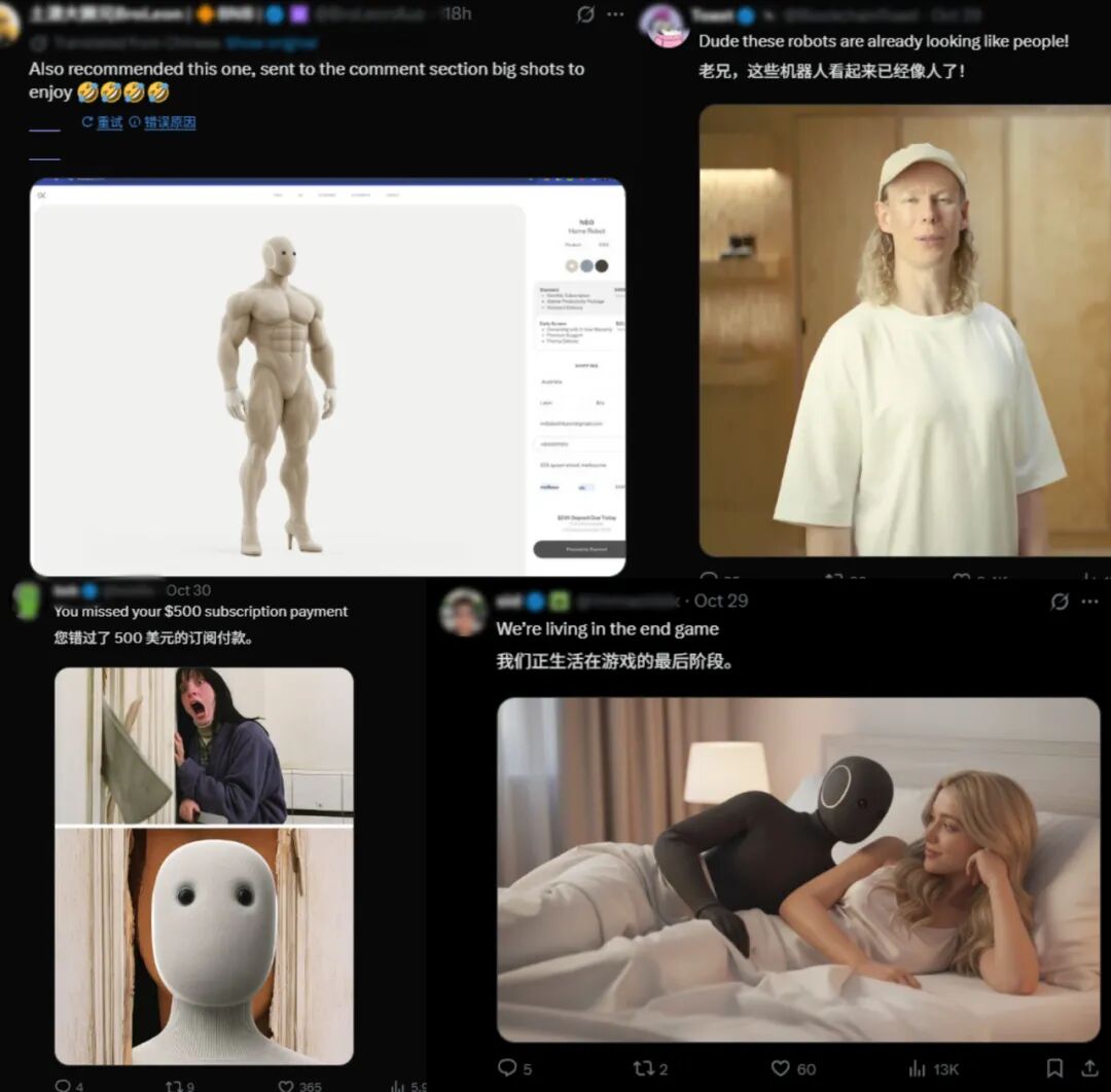 掏十四万请卧底进家门,你可能还得给它洗衣服?