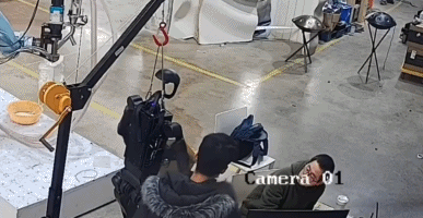 掏十四万请卧底进家门,你可能还得给它洗衣服?