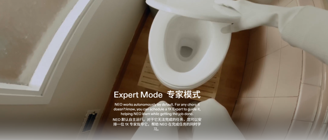 掏十四万请卧底进家门,你可能还得给它洗衣服?