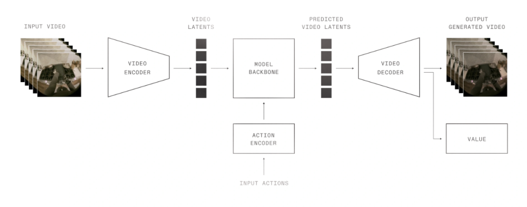 掏十四万请卧底进家门,你可能还得给它洗衣服?