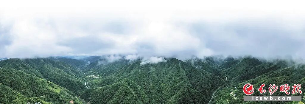 大围山“IP”成就一方产业