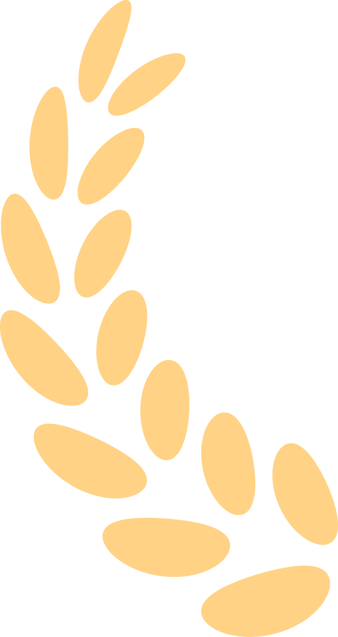 奉城这个村有何魔力,一天解锁家风密码、农事体验与校地合作三重惊喜→ 奉城这个村有何魔力,一天解锁家风密码、农事体验与校地合作三重惊喜→