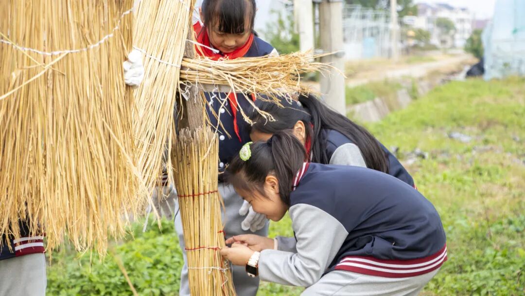 奉城这个村有何魔力,一天解锁家风密码、农事体验与校地合作三重惊喜→ 奉城这个村有何魔力,一天解锁家风密码、农事体验与校地合作三重惊喜→