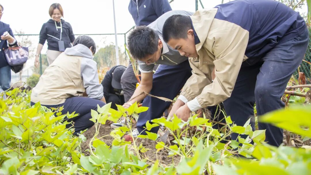奉城这个村有何魔力,一天解锁家风密码、农事体验与校地合作三重惊喜→ 奉城这个村有何魔力,一天解锁家风密码、农事体验与校地合作三重惊喜→