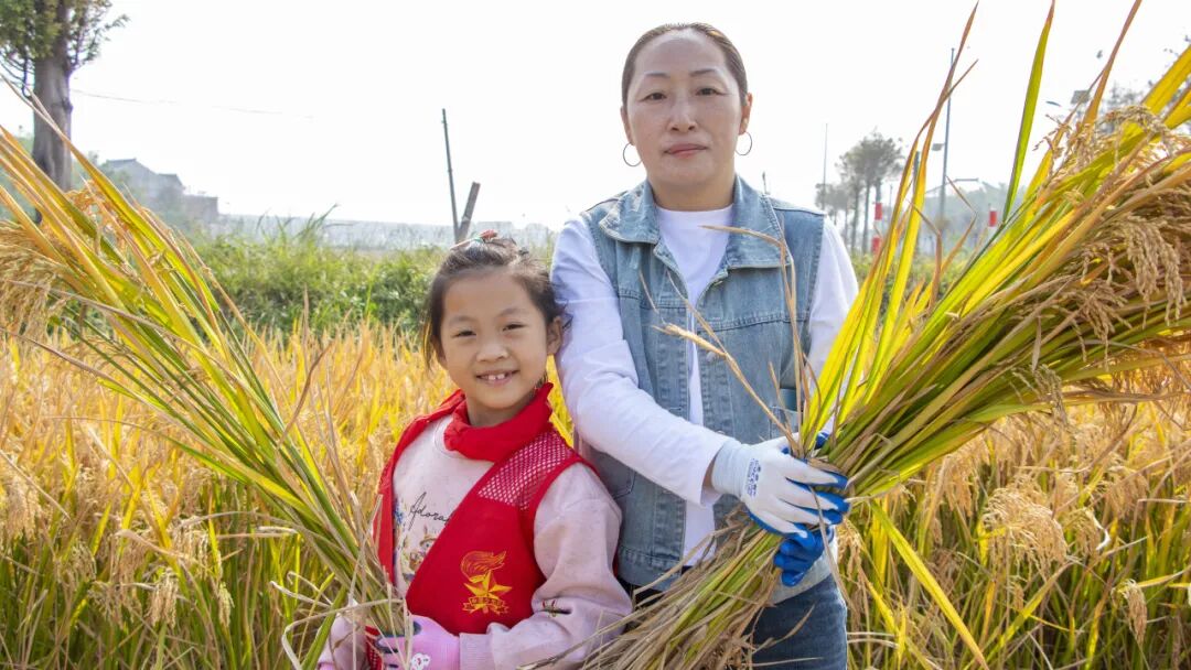 奉城这个村有何魔力,一天解锁家风密码、农事体验与校地合作三重惊喜→ 奉城这个村有何魔力,一天解锁家风密码、农事体验与校地合作三重惊喜→