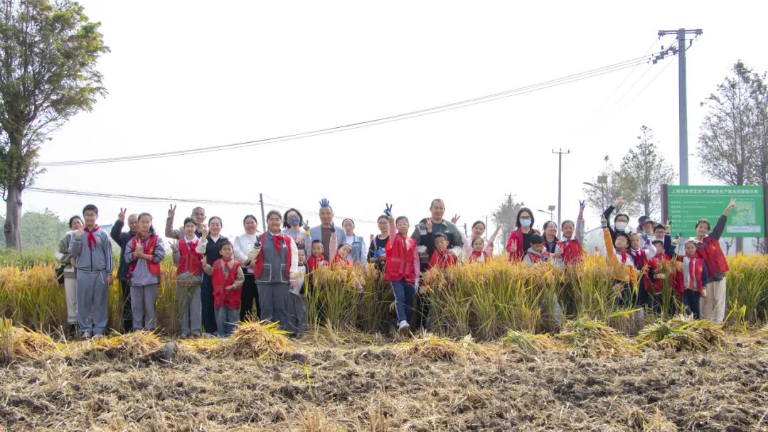 奉城这个村有何魔力,一天解锁家风密码、农事体验与校地合作三重惊喜→ 奉城这个村有何魔力,一天解锁家风密码、农事体验与校地合作三重惊喜→