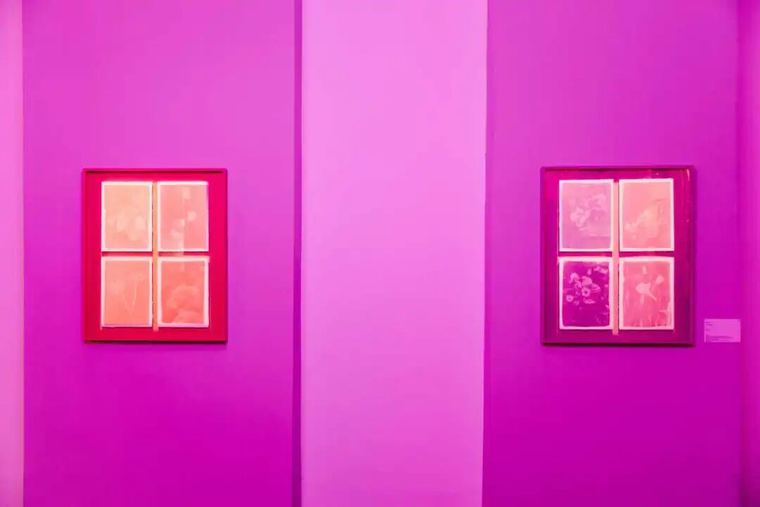 扶青计划|“云游”群展,在《出神之境》,感知自我与世界的交汇